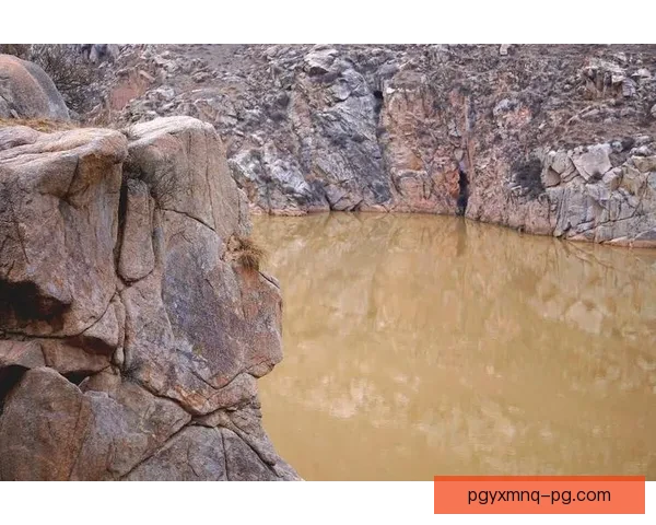 岩石挑战赛：高手对决峭壁间