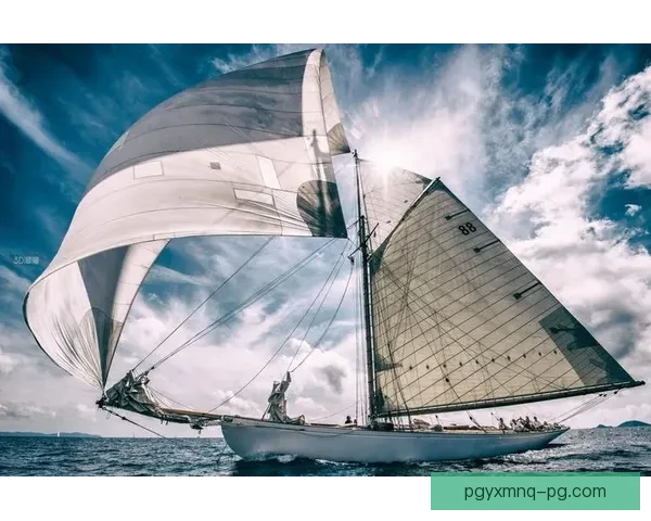 帆船数据分析：探索风潮下的航行之道