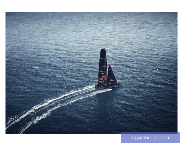 帆船冠军：征战波澜，风云再起